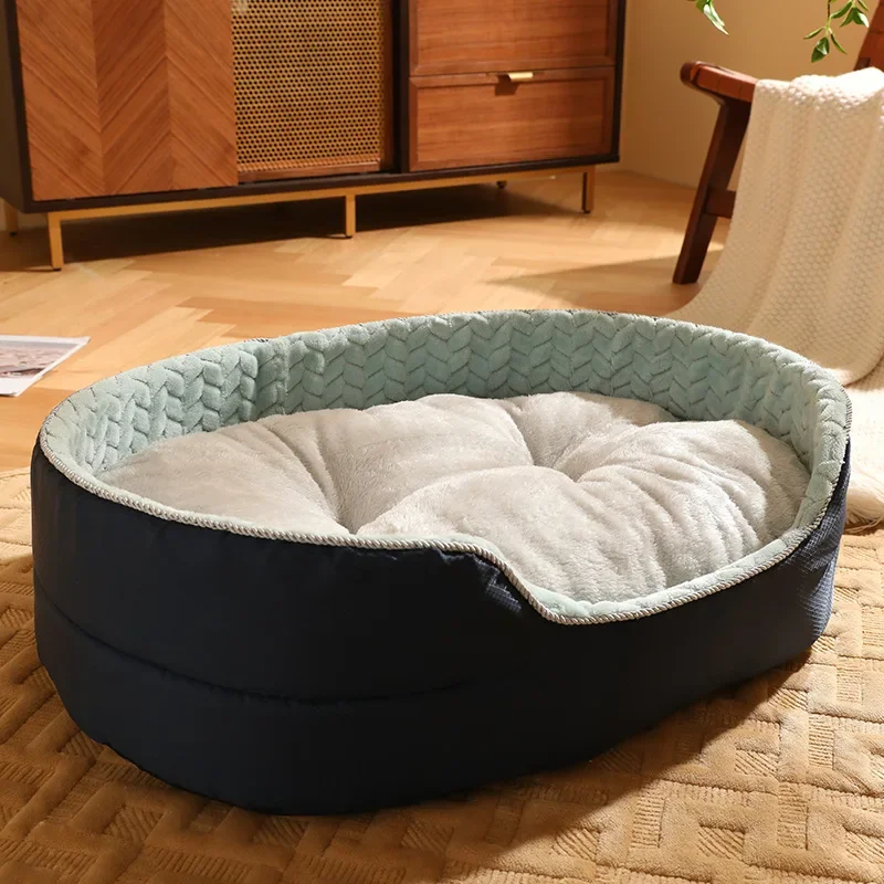 dog bed